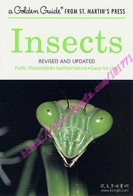 Title: The Importance of Insect-Repellent Clothing for Summer Protection