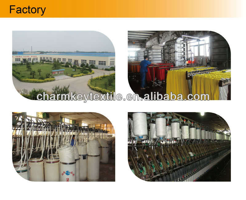 Title: The Current Status of Yueyang Textile Mill