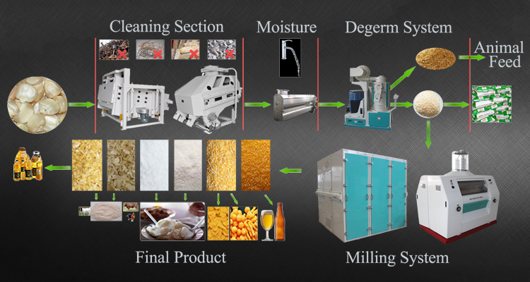 Title: The Fabric of Profit: Exposing the Money-Making Machine of Textile Mills