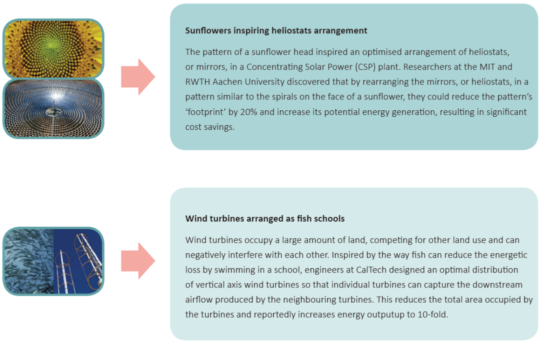 Paradigm Textiles: Innovation Through Sustainable Development