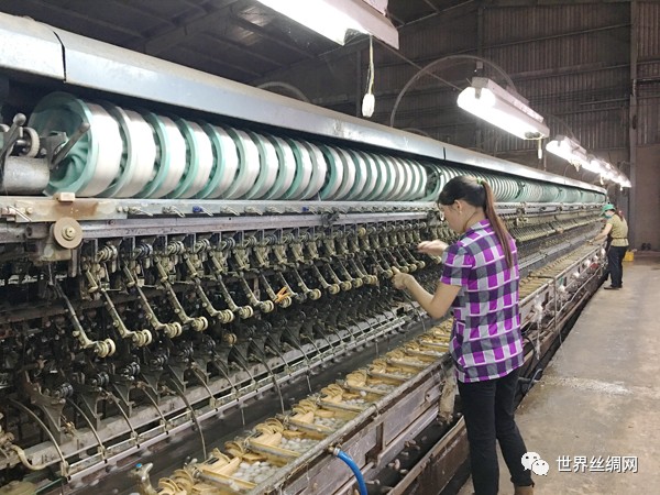 The Everlasting Textile Factory: The Fabric of Life