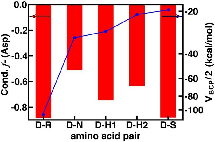 Title: The Role of ADH in Textiles: An In-Depth Analysis