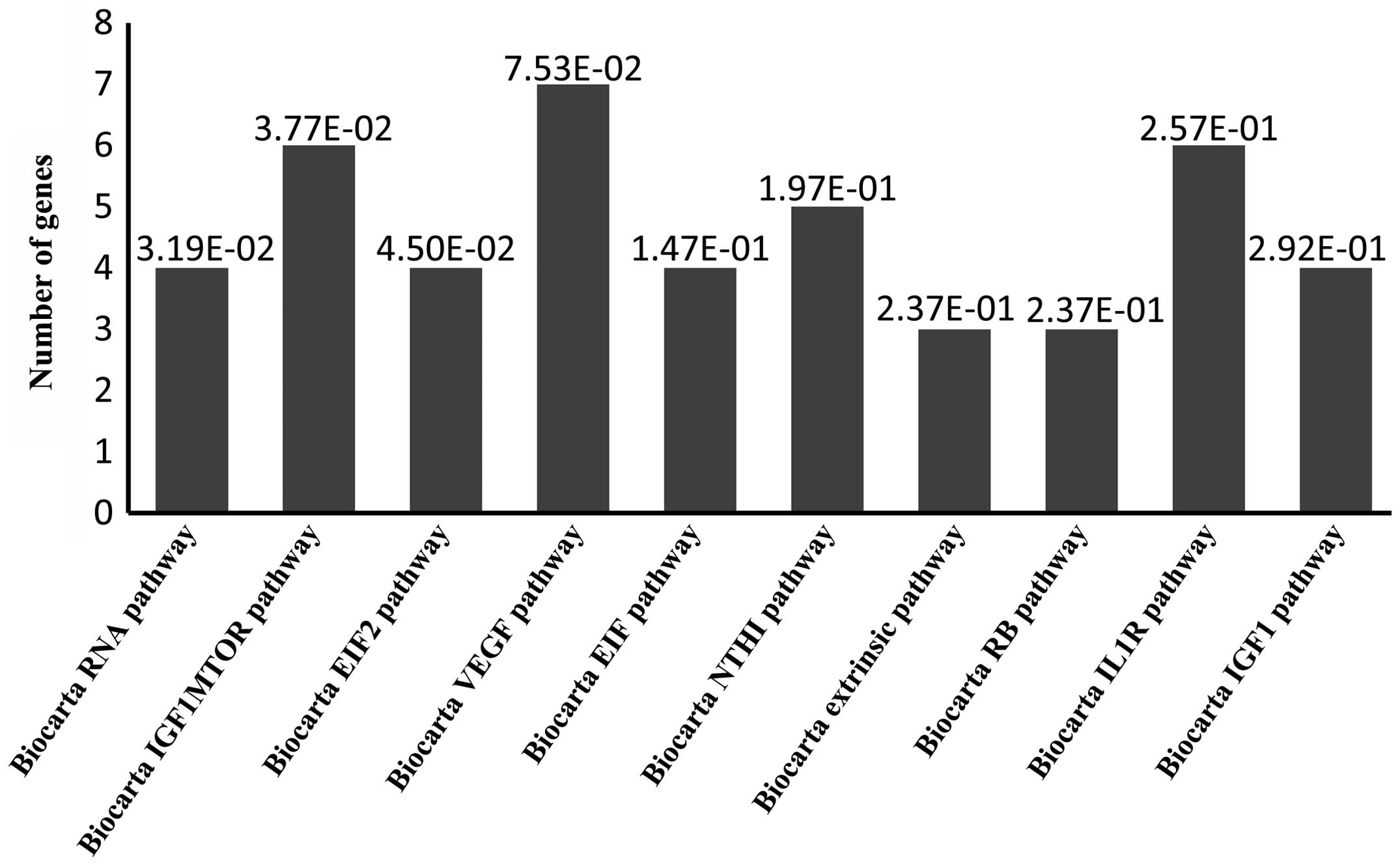 Title: The Emerging Trends in Textile Trade: A Comprehensive Analysis