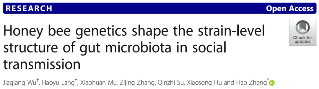 Title: Unraveling the Intricacies of Honeycomb Textiles: A Study on their Structure and Applications