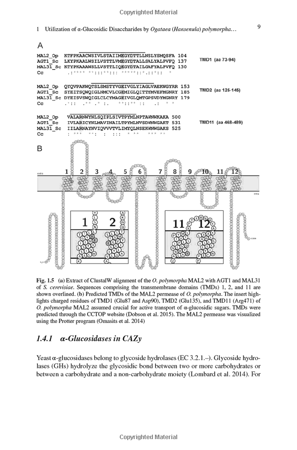 Title: Non-Stickiness Testing in Textiles: Methods, Importance and Applications