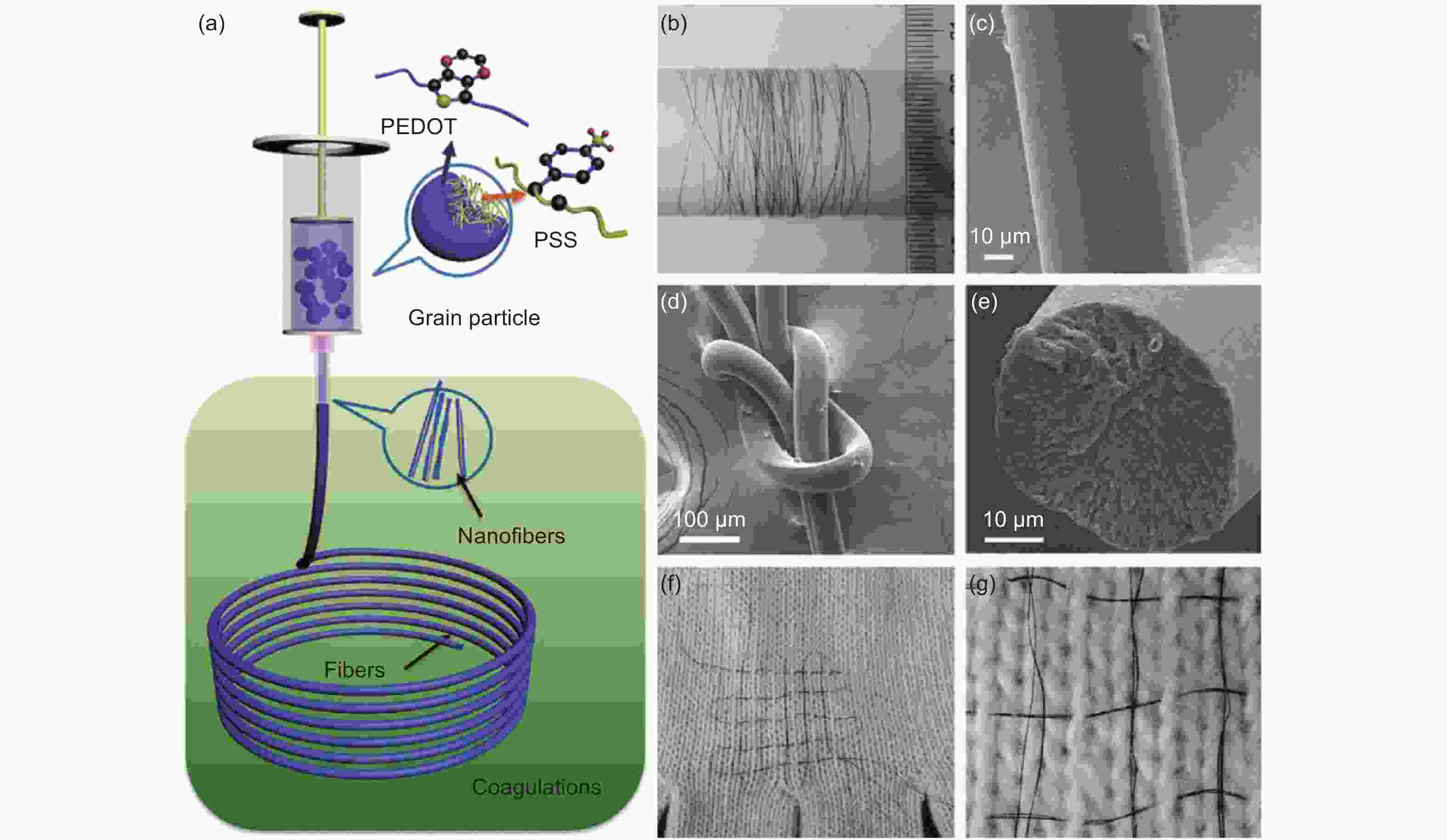 Title: Quantitative Analysis of Textile Fiber Content