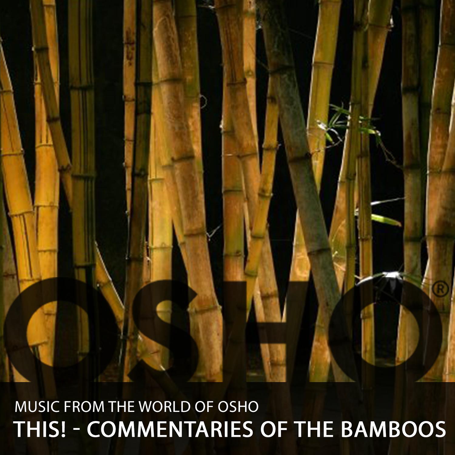 Title: The Marvels of Bamboo and Wood Fabrics: A Natural Choice for Sustainable Fashion