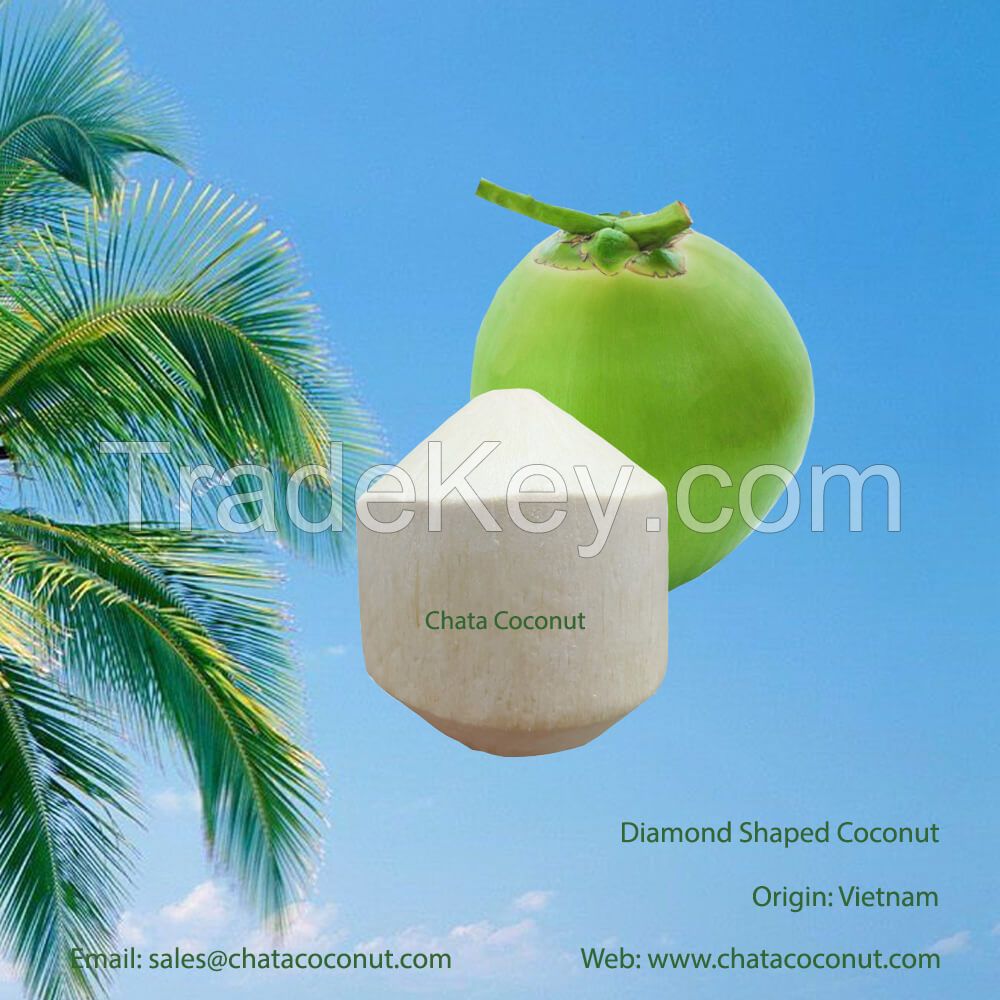 Title: Coconut Textile Shop Location and Features