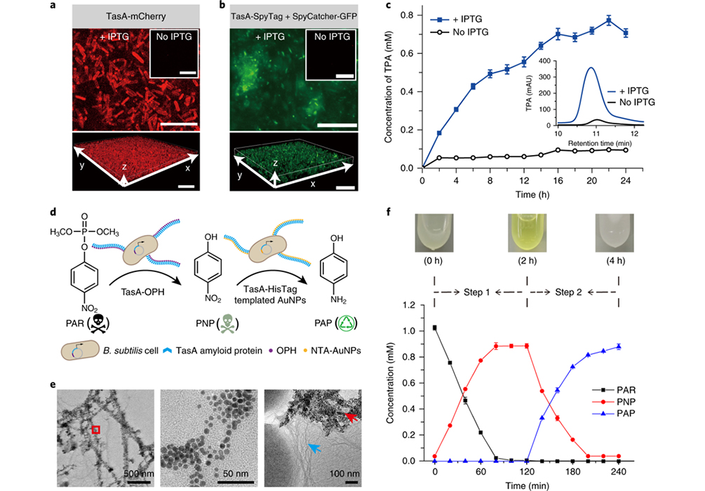 Title: The Science of Textile Chemistry: Antimicrobial Properties and Application