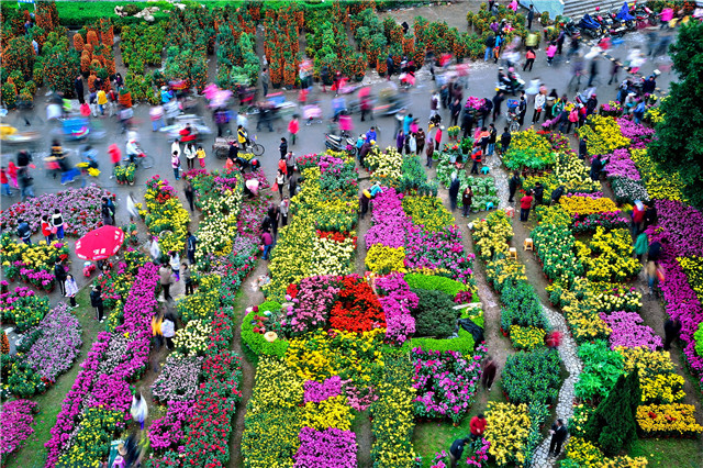 Title: Guangzhou Flower Blossom Garden Textiles: A Journey through Timeless Beauty