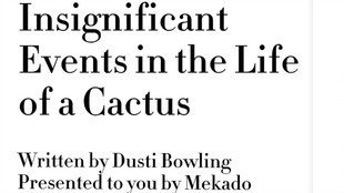 Title: The Impact of Weight-Enhancing Agents on Textile Industry in Fujian Province