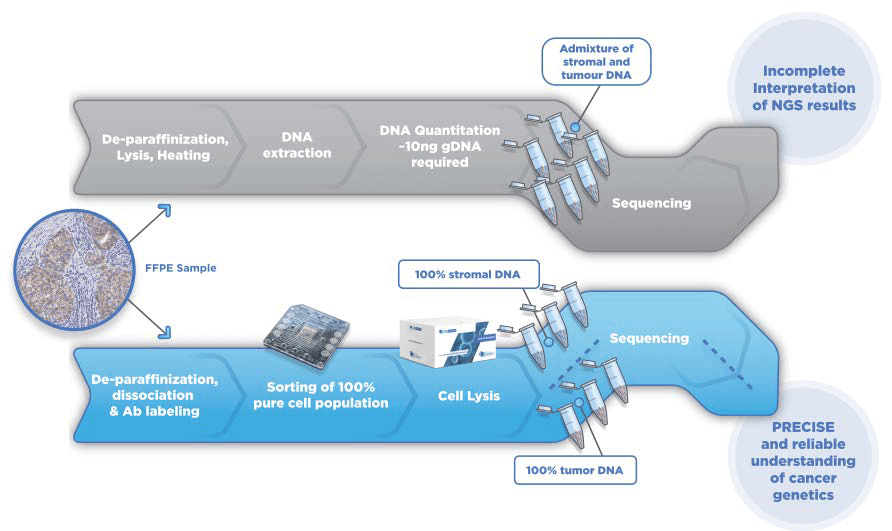 Title: The Efficient Workflow of Textile Factories Pipe Networks