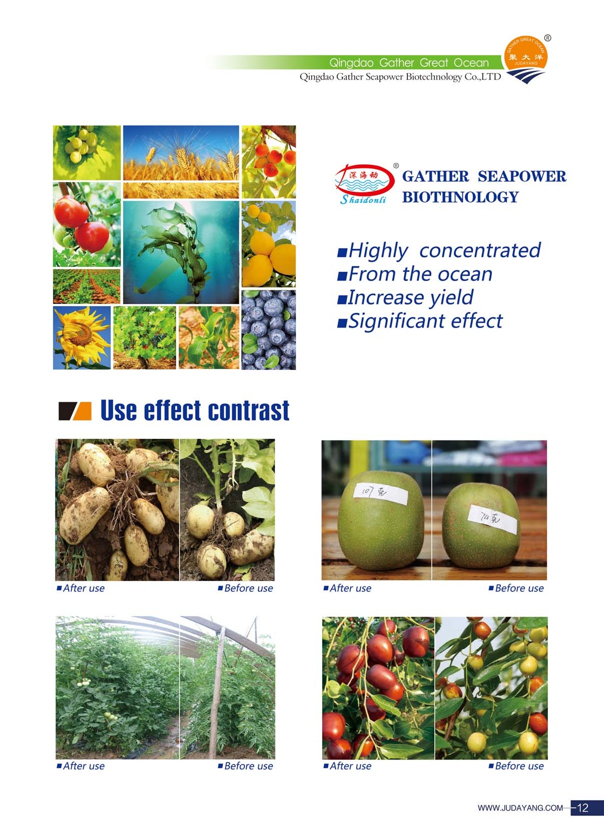 Title: The Best Vegetable Glycol Derivatives for Various Textile Applications