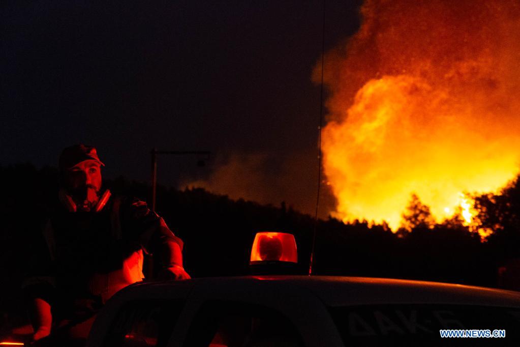 Title: The Bravest Firefighter: The Young Man Who Saved a Textile Mill