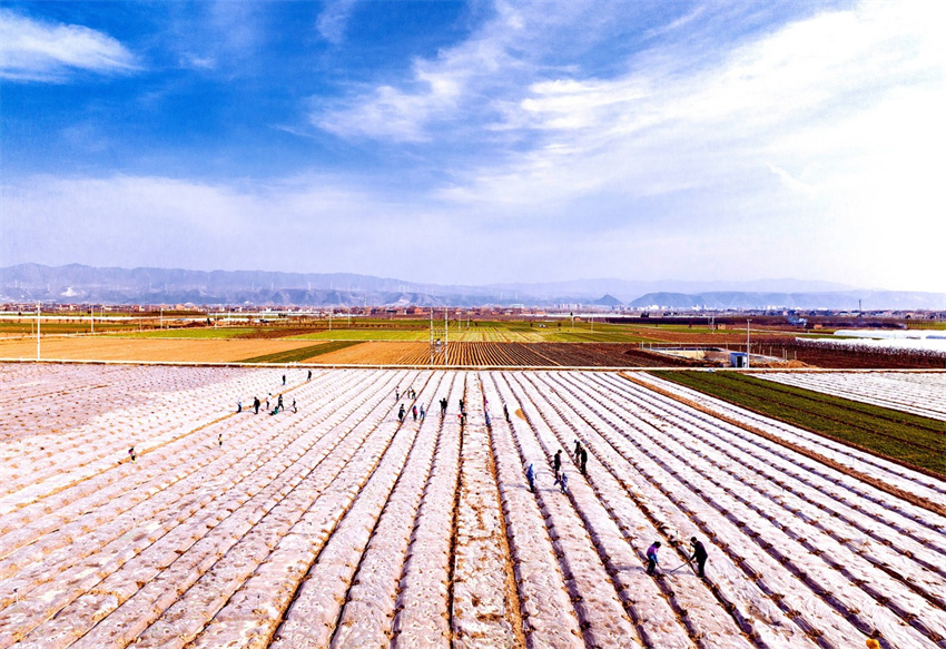 Title: Shanxin Countys Leading Textile Mills