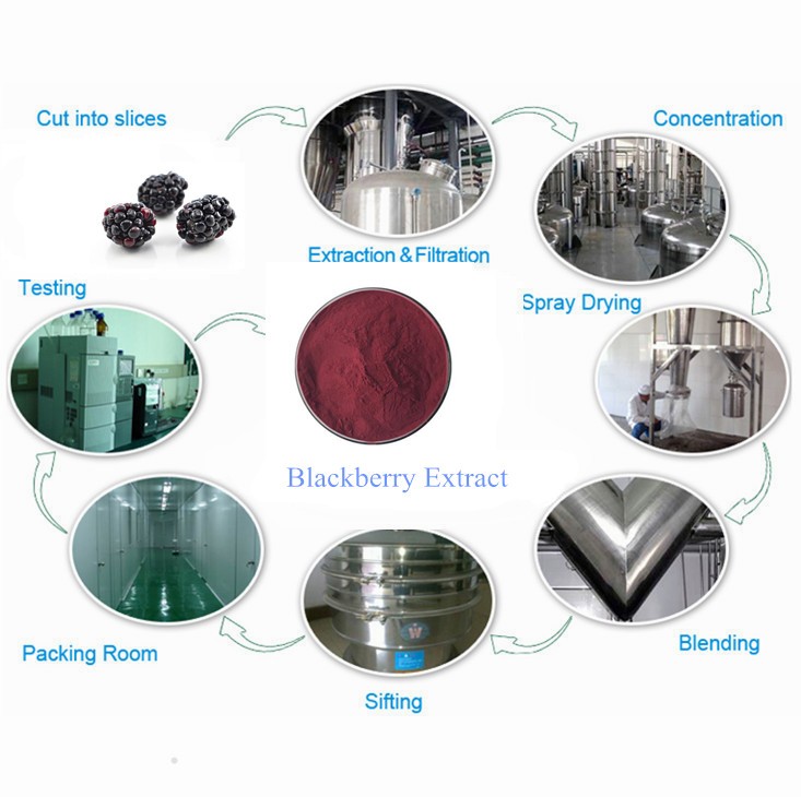 Title: The Comprehensive Process Flow of Textile Development