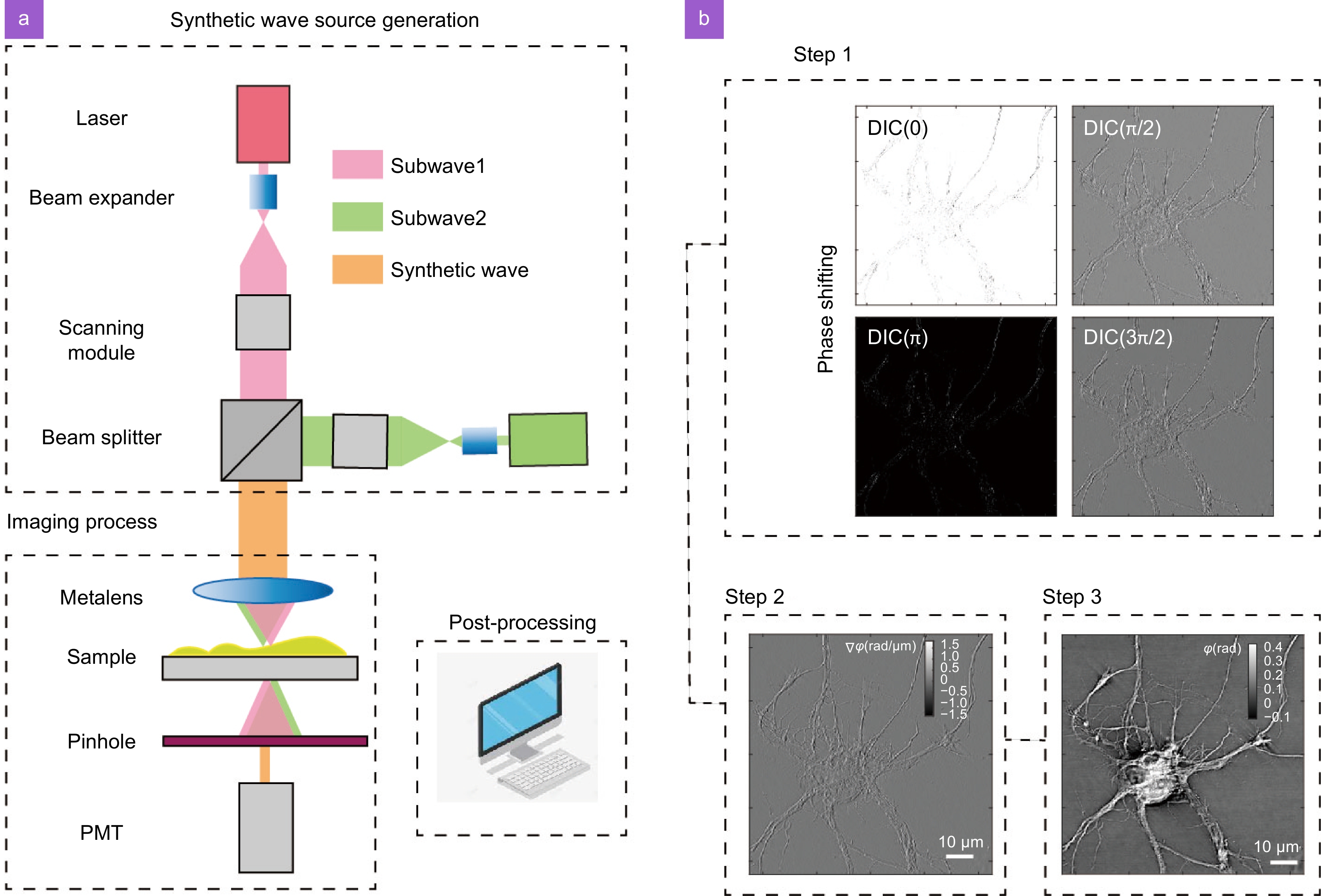 Title: The Art and Science of Textiles: A Static Display Model