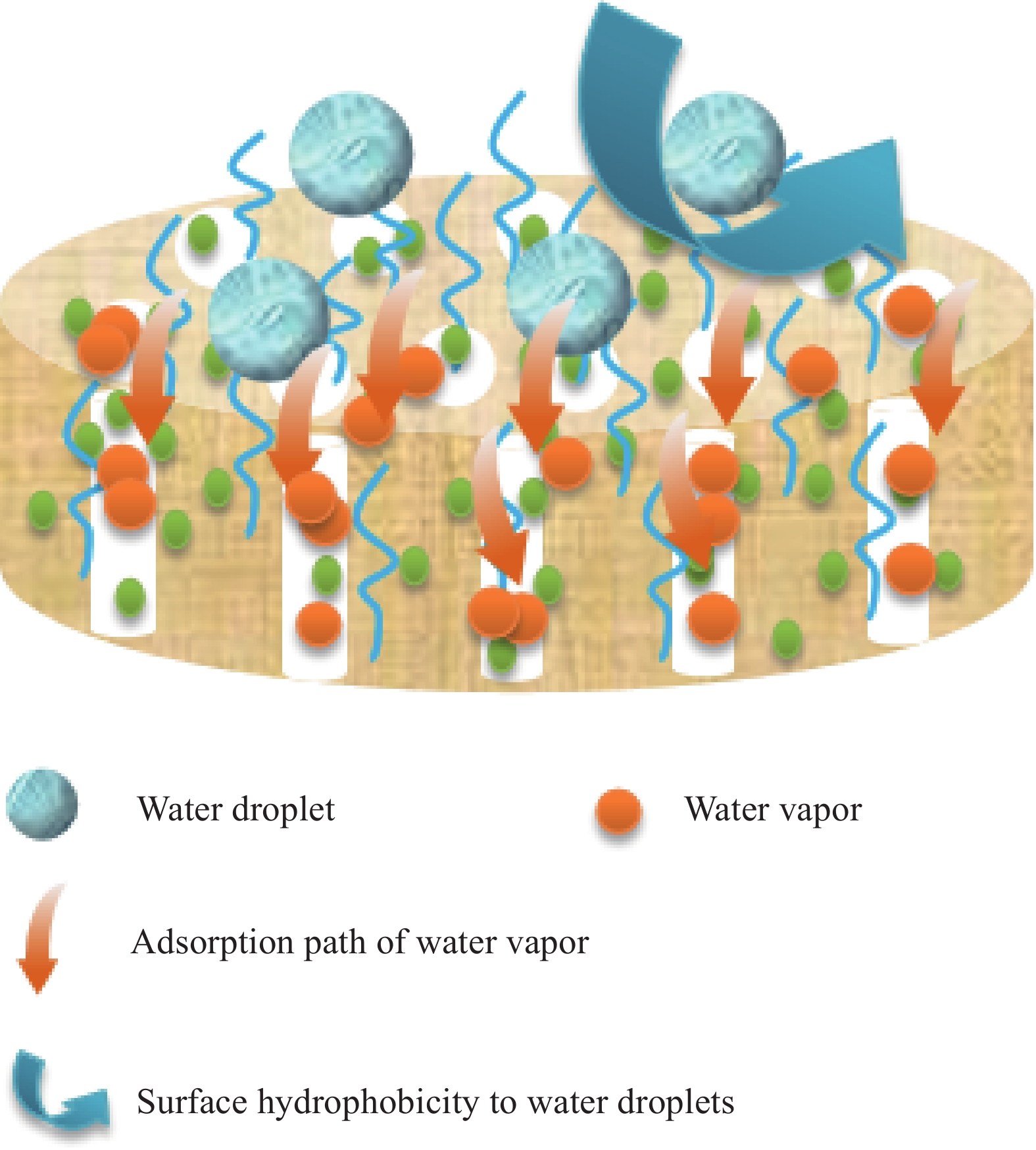 The Importance of Textile Water Absorption and Hydrophobicity in Daily Life