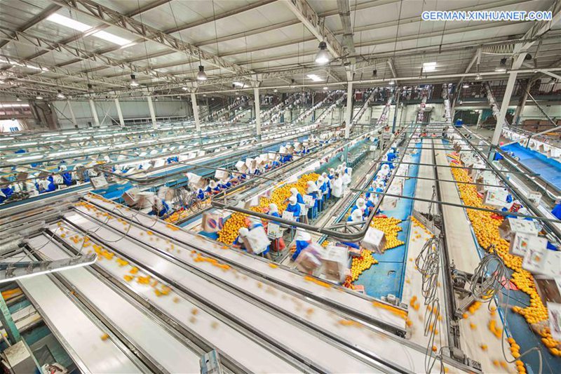 Shanghai Henjian Textiles: A Leading Player in the Global Textile Industry