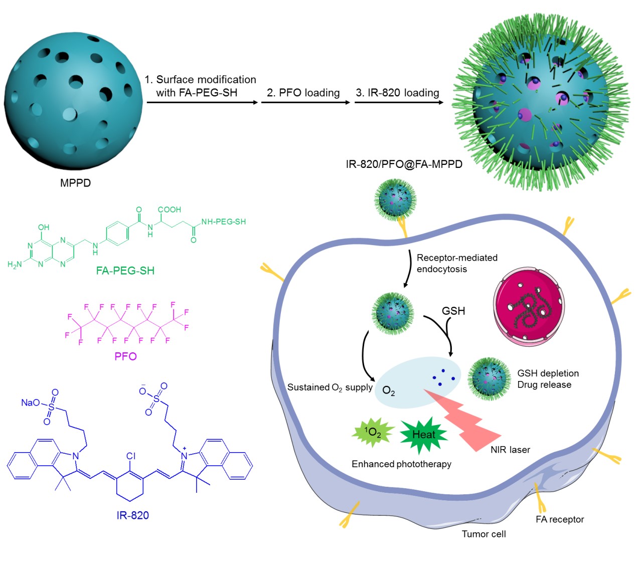 Mechanism of Moisturewicking and Perspiration Control in Textiles