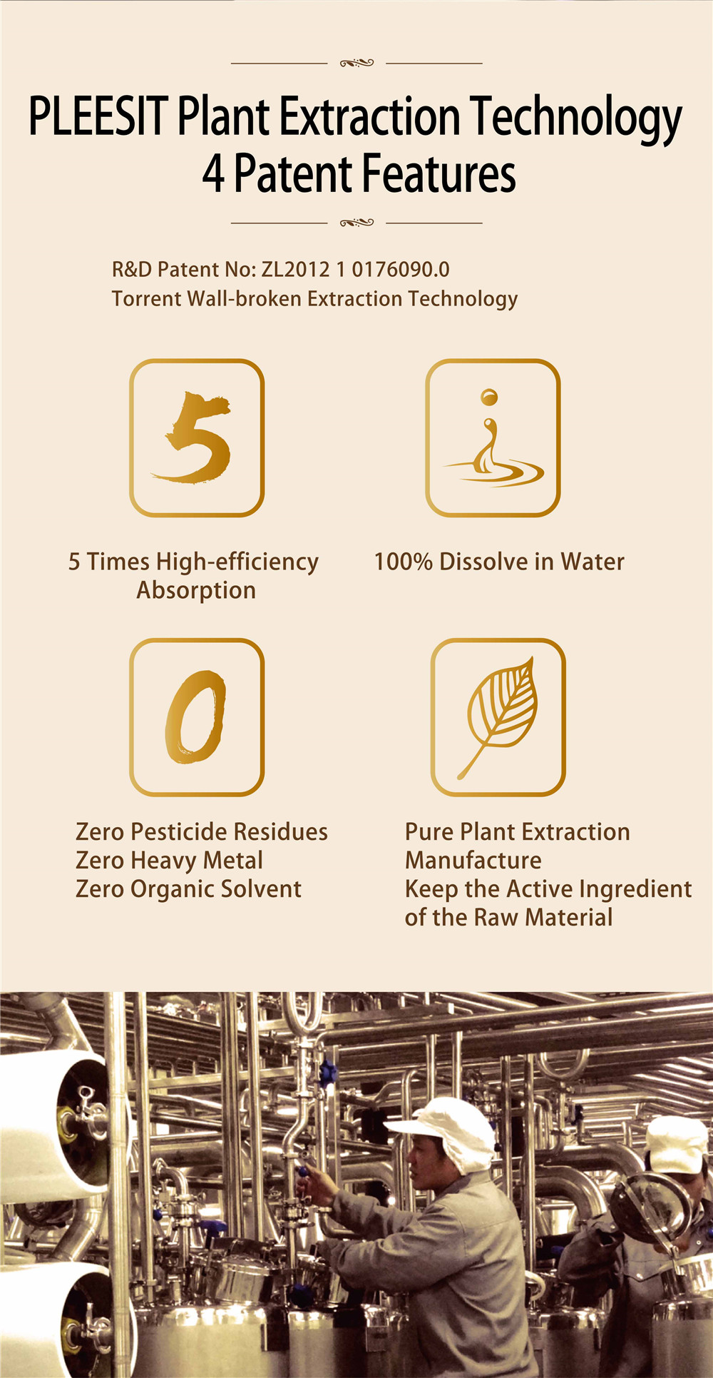 Embracing Sustainability and Innovation: A Journey at Honghao Textile Mill