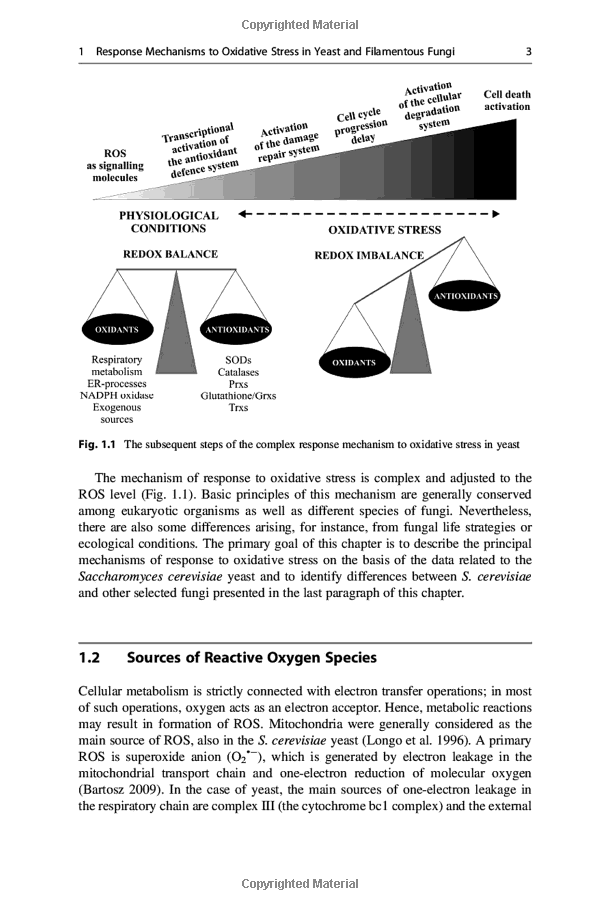 The Presence of Fluorescent Agents in Textiles