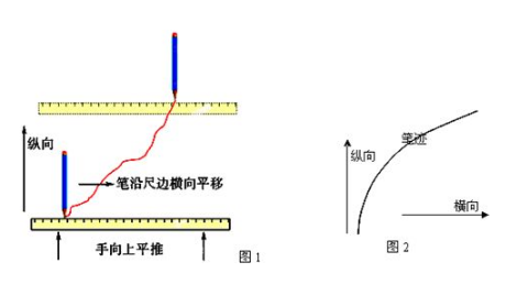 纺织品的纵向和横向区分，一种全面的解析