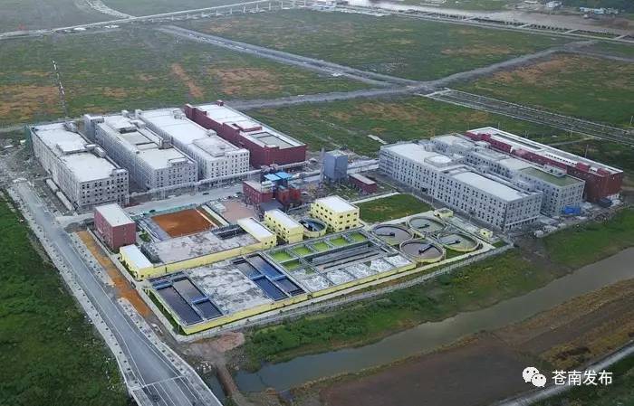 苍南纺织厂 Incorporates Cutting-Edge Technology to Revitalize Textile Industry in Southern China