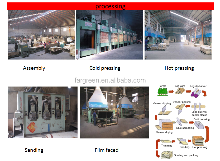 The Transformational Impact of the Zhoukou Textile Mill Project