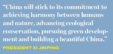 Exploring the Eco-Friendly Textile Industry in Liaoning Province: A Manufacturers Perspective