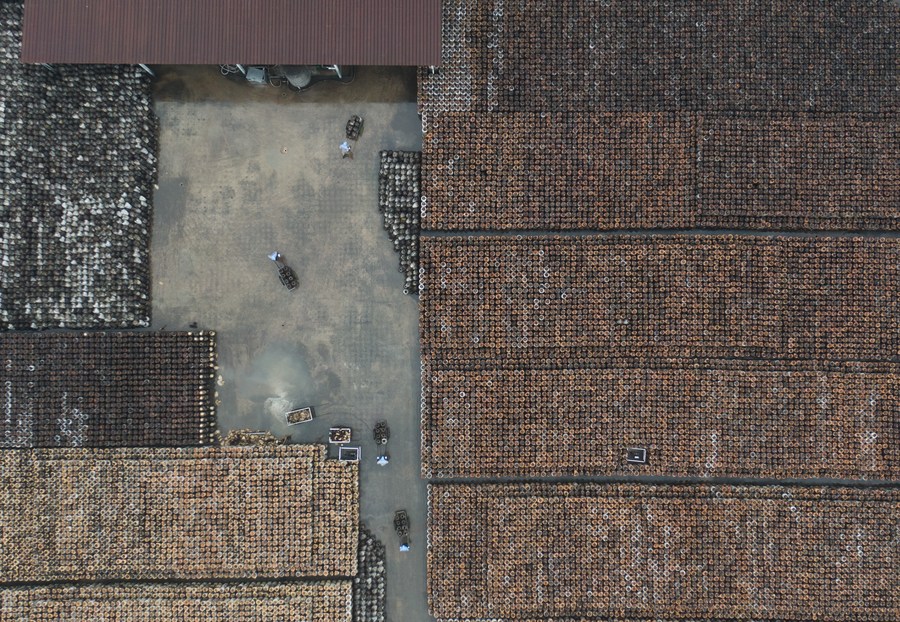 The Textile Mill of Deji Town, Zhangjiagang