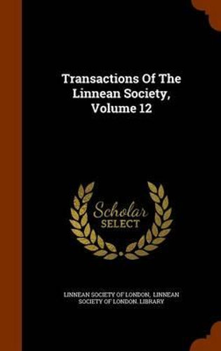 The Role of Textiles in Global Trade: A Historical and Comparative Analysis of Textile Orders