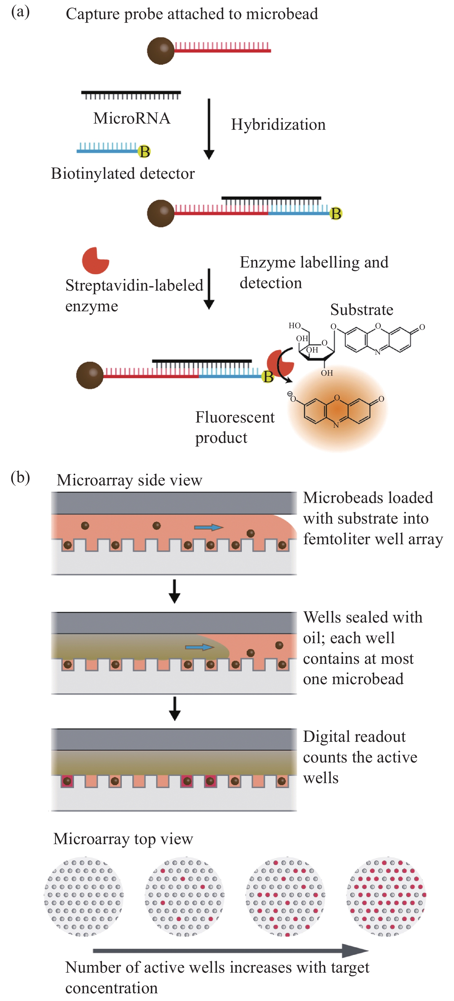 Developments and Application of Antimicrobial and Mold-resistant Processing Methods for Textiles