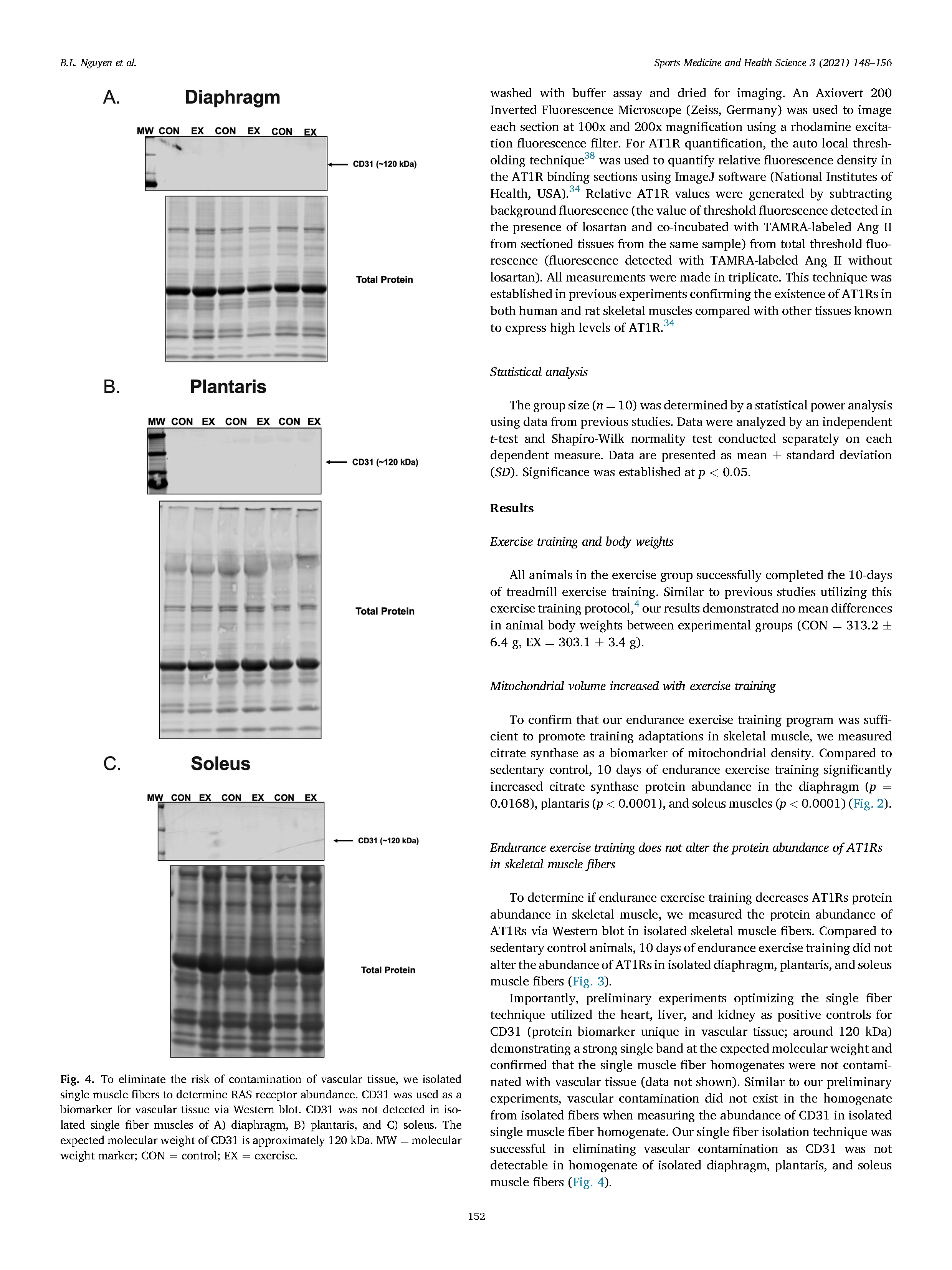 Effective Methods for Preventing Wrinkles in Textiles