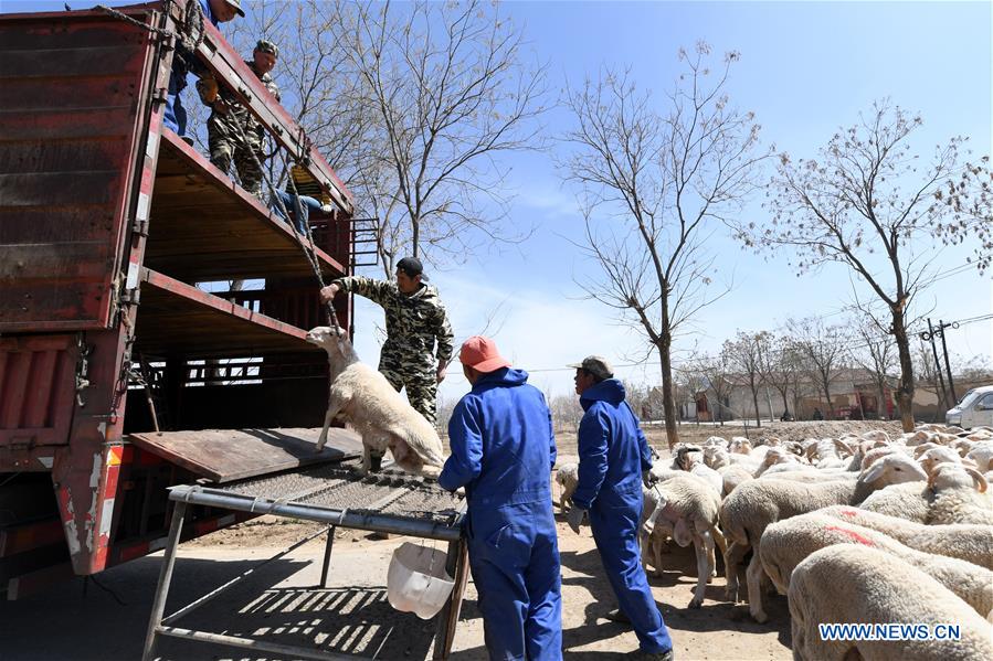 The Gastronomic Delights of Yuzhou Textile Street Braised Sheeps Hoof