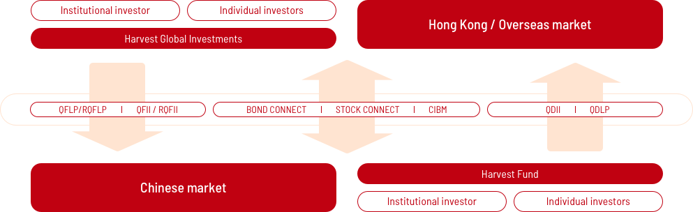 Cross-Border Marketing Strategies for Textile Industry