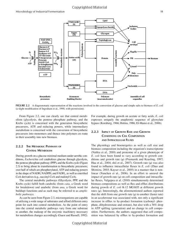 Efficacy of Microbial Control Techniques in Textile Industry: A Comprehensive Study