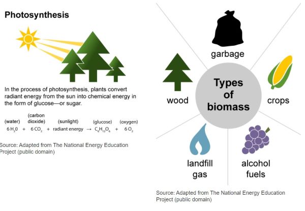 Understanding the Concept of Eco-Friendly Textiles