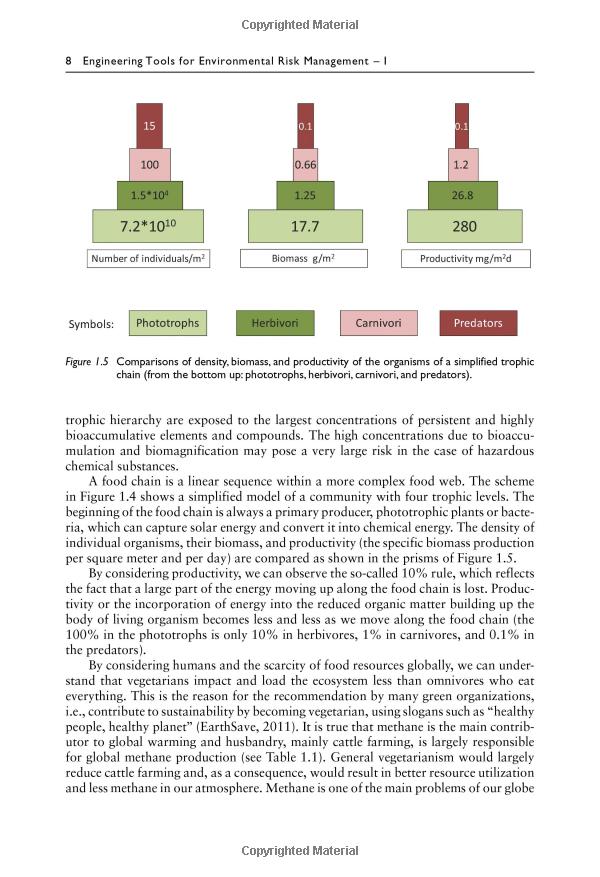 The Impact of Textile Mills on the Environment: A Critical Examination