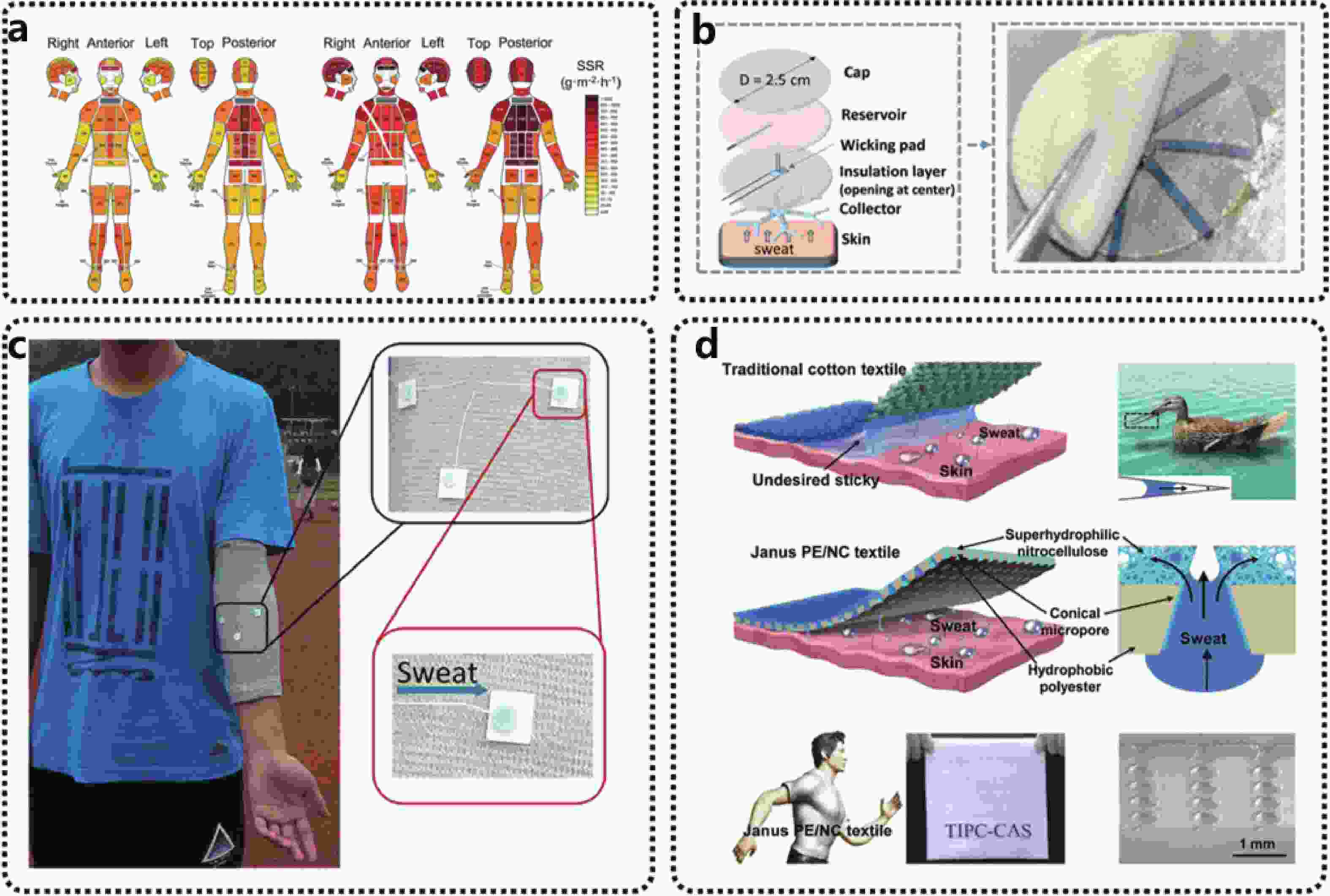 Functional Biomimetic Textiles: The Next Generation of Wearable Technology