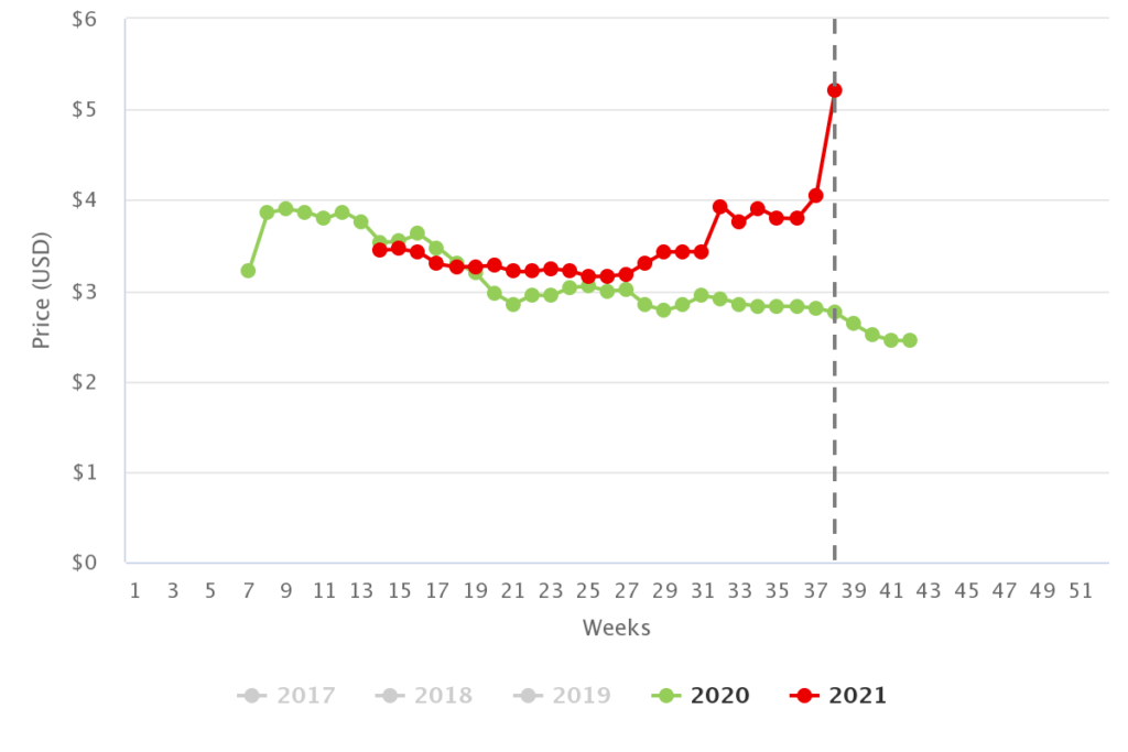 Market Price of Corporate Textiles in Changshu: A Comprehensive Analysis