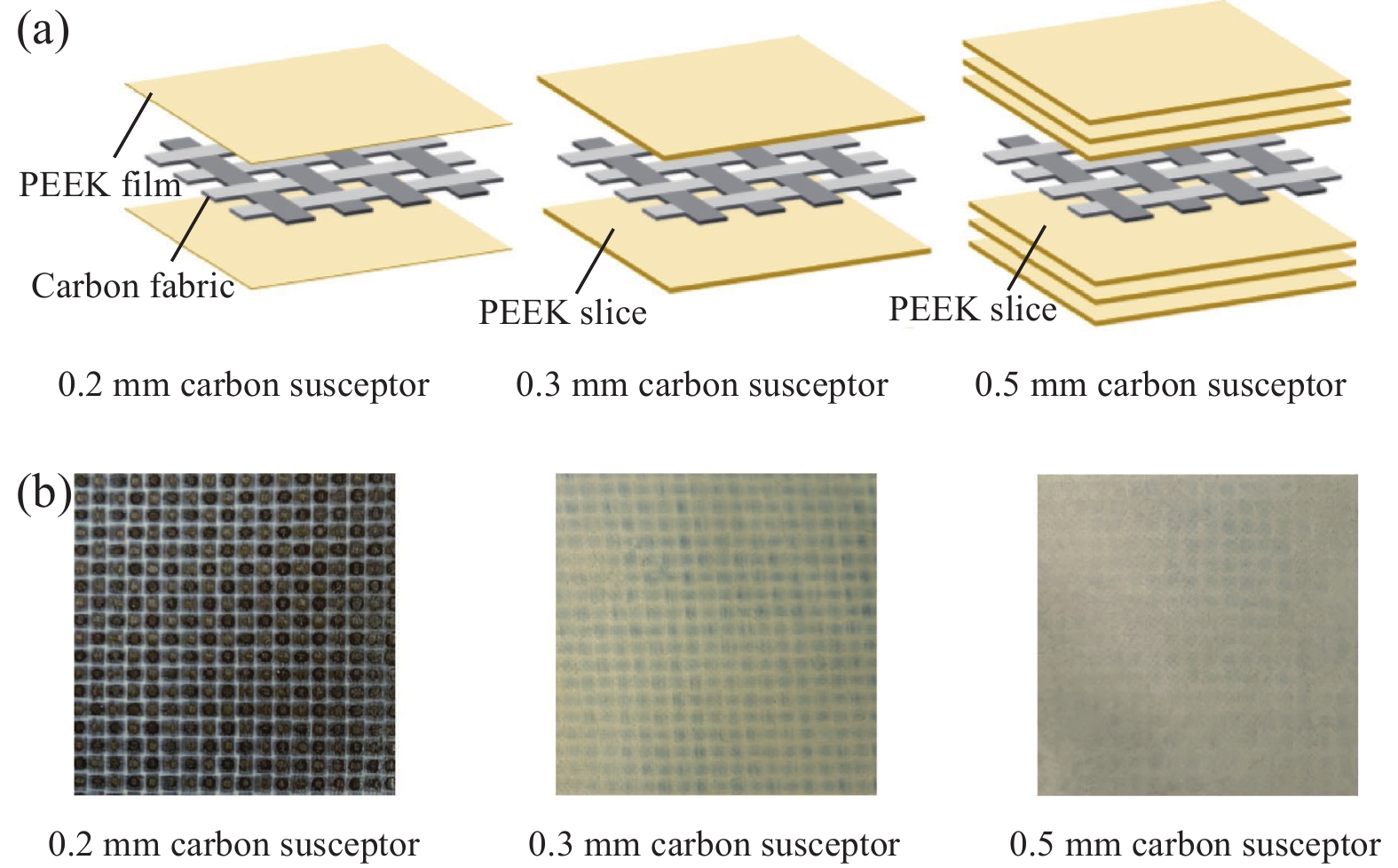 Understanding the Scientific Names of Textile Fibers