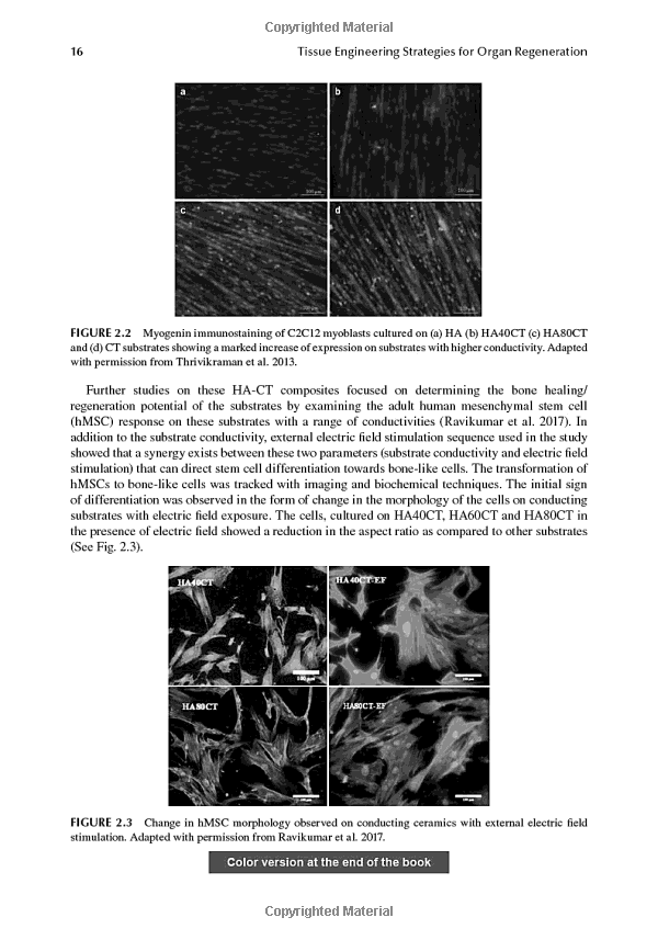 Optimizing the Tensile Strength of Textiles: Techniques and Strategies