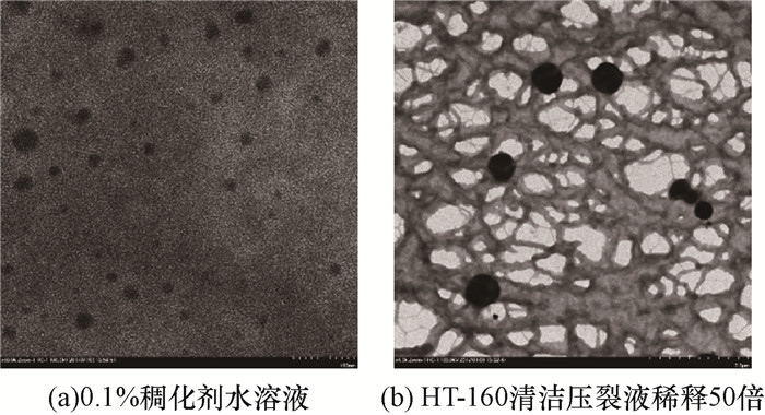 The Impact of 纺织品甲醛水溶液 on Human Health and the Environment