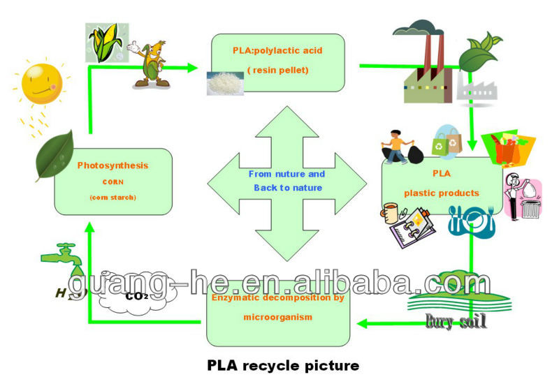 The Evolution and Advancements of Eco-Friendly Textiles