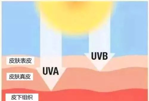 Evaluating Sun Protection Performance of Textiles: A Practical Guide for Industry and Consumers