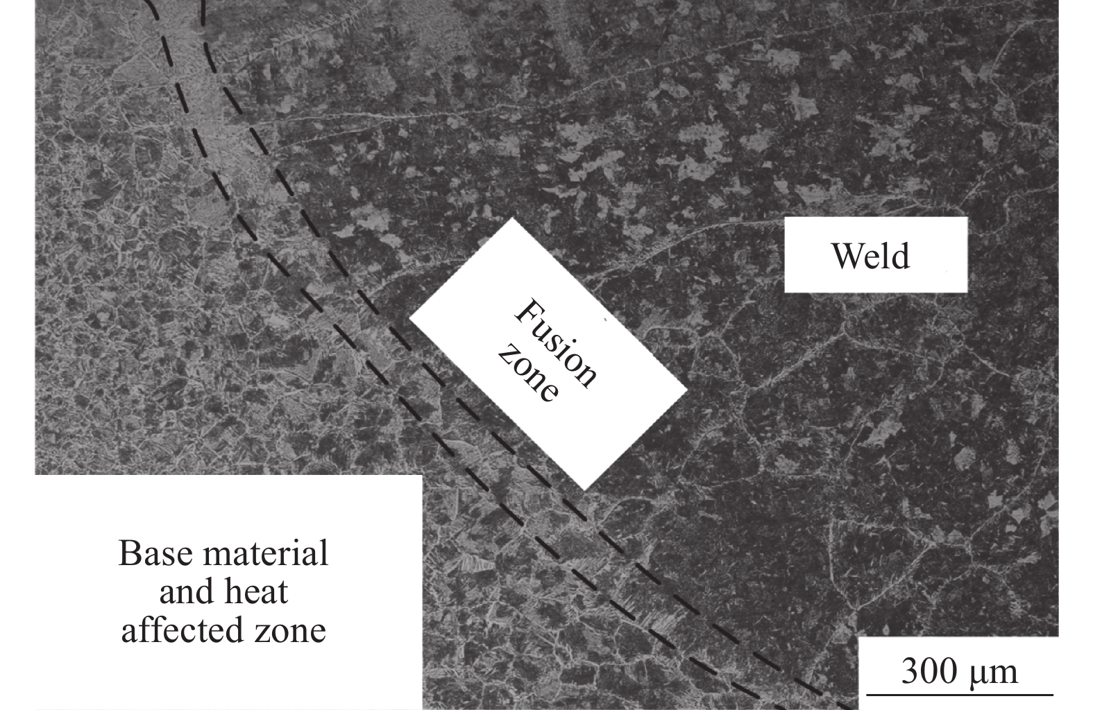 Understanding the Causes of Wet Friction in Textiles