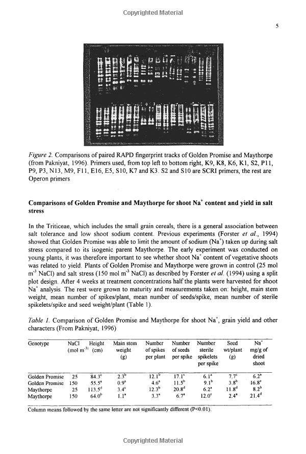 The Evolution of Textile Mills and Their Impact on Industrialization