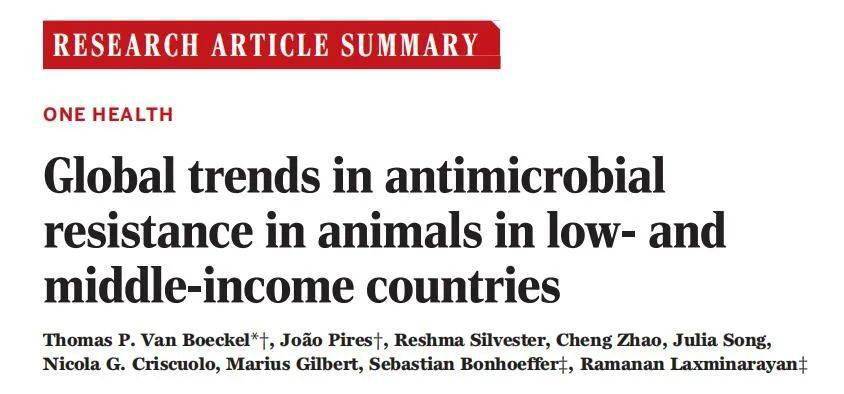 Antimicrobial and Odor-Resistant Textiles: A Breakthrough in Comfort and Hygiene