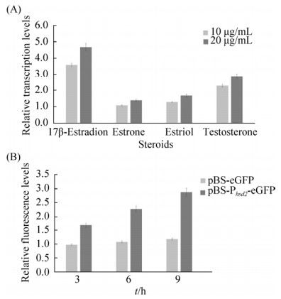 Neutralization of Textile Wastewater